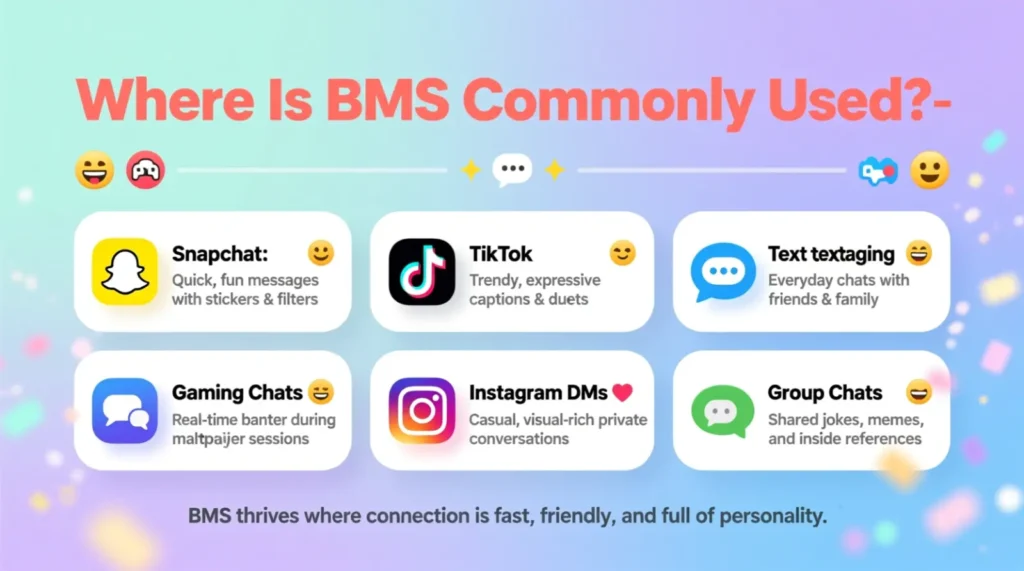 Where Is BMS Commonly Used?