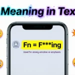 Fn Meaning in Texting