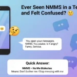 NMMS Meaning in Text