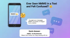 NMMS Meaning in Text