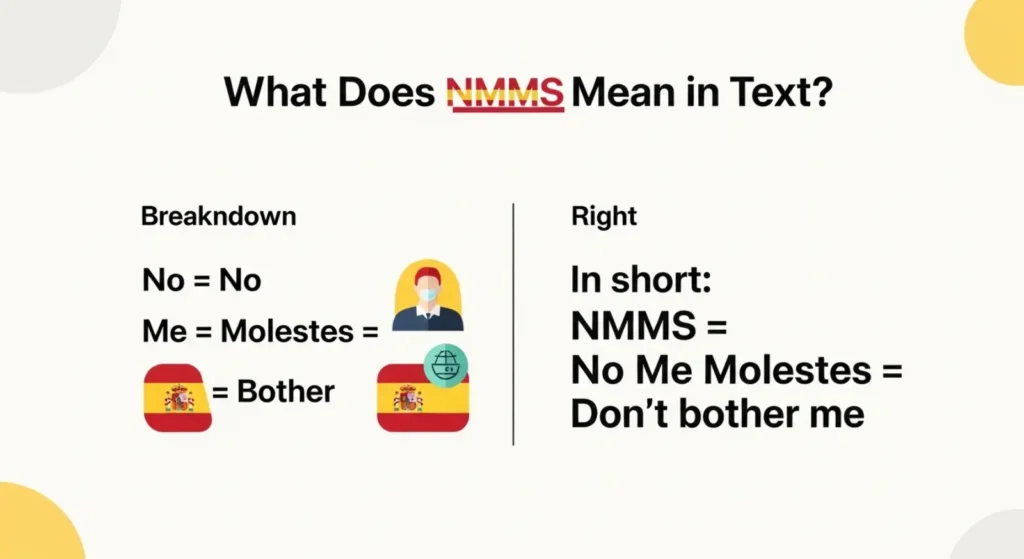 What Does NMMS Mean in Text?